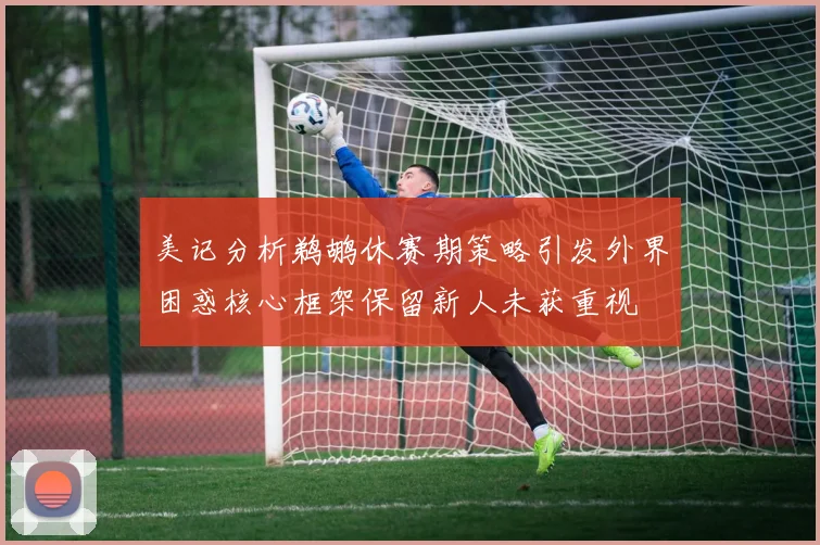 美记分析鹈鹕休赛期策略引发外界困惑核心框架保留新人未获重视